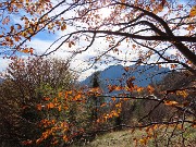 Ai faggi secolari del Menna dal Passo dell’orso ad anello da Zorzone – 27ott25   -  FOTOGALLERY